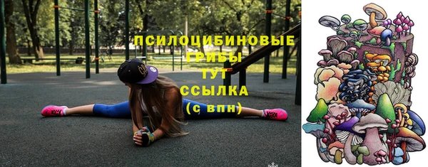 ПСИЛОЦИБИНОВЫЕ ГРИБЫ Волоколамск