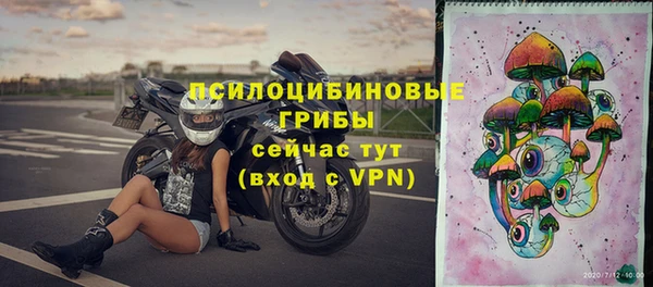 ПСИЛОЦИБИНОВЫЕ ГРИБЫ Волоколамск