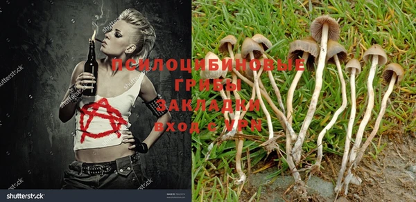 Альфа ПВП Волосово