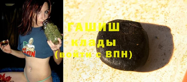 PSILOCYBIN Верея