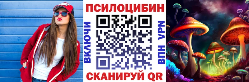 блэк спрут как зайти  где продают   Димитровград  Псилоцибиновые грибы MAGIC MUSHROOMS 